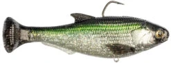 Z-Man Shadtron Line Through Fast Sinking Swimbait - 6 Inch 11 Z-Man Shadtron Line Through Fast Sinking Swimbait - 6 Inch -Discount Tackle 42466439135320