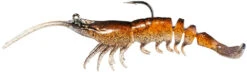 Z-Man PrawnstarZ Soft Plastic Shrimp - 2.5 Inch 14 Z-Man PrawnstarZ Soft Plastic Shrimp - 2.5 Inch -Discount Tackle 43271412875352